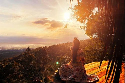 Vườn 'táo tiên' ở Cáp treo Núi Cấm