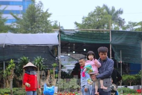 Phố hoa Hà Tĩnh nhộn nhịp ngày đầu năm