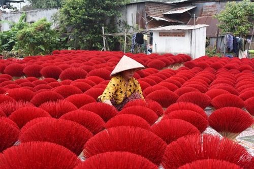 Làng nhang lâu đời nhất Đông Nam Bộ tất bật vào vụ Tết