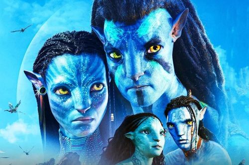 Chiếc phao 'Avatar 2'