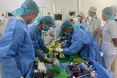 Cứu bệnh nhân sốt xuất huyết biến chứng nguy kịch nhờ kỹ thuật ECMO