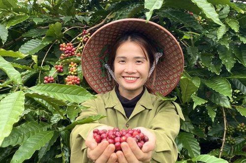 Cô nông dân 9x 'triệu view Tiktok' trở thành Đại sứ Lễ hội Cà phê