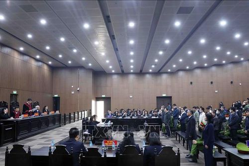 Tuyên án Nguyễn Thị Thanh Nhàn và các bị cáo trong vụ án AIC