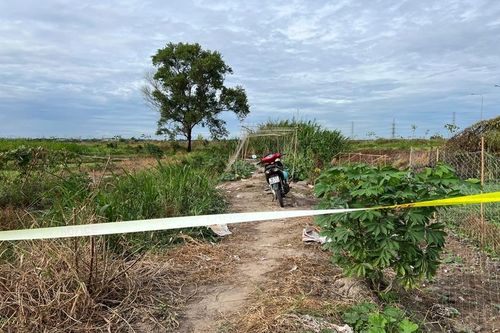 Điều tra vụ người đàn ông chết cháy và một người treo cổ tự tử ngoài đồng ruộng