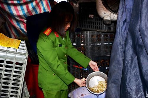Cơ sở sản xuất cà muối lớn nhất thành phố Vinh vi phạm an toàn vệ sinh thực phẩm