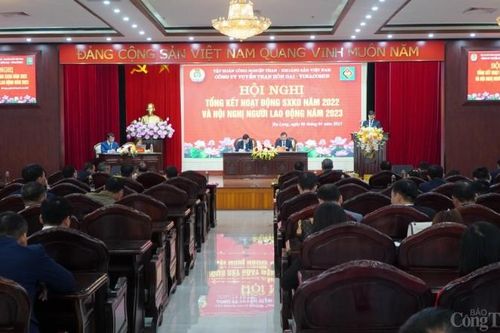 Công ty Tuyển Than Hòn Gai phấn đấu đạt doanh thu trên 23.000 tỷ đồng năm 2023