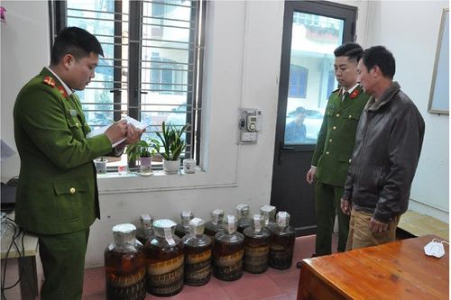 Nhận 'kết đắng' vì ngâm rượu rắn hổ chúa, kỳ đà để bán