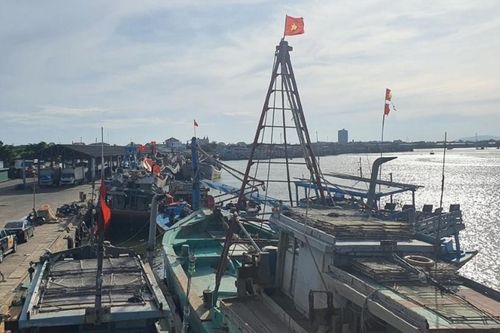 Phạt hơn 2,5 tỉ đồng và tước giấy phép đối với 15 thuyền trưởng vi phạm