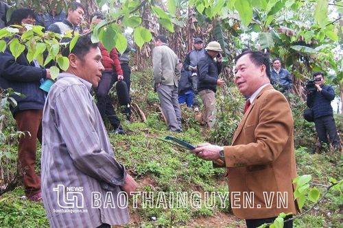 Ông thầy về cây ăn quả