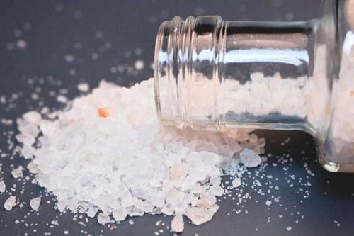 Một cuộc đời hoang phí vì chọn làm nô lệ của 'nàng tiên nâu'