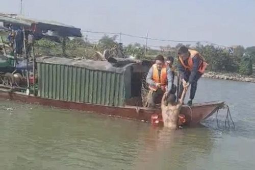 Khởi tố đối tượng phóng hỏa đốt nhà, giết người ở Hải Dương