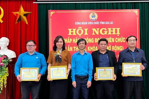 Công đoàn Viên chức tỉnh Gia Lai tặng giấy khen cho 42 tập thể, cá nhân