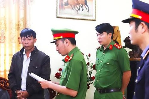 Bắt tạm giam nghi can đánh người tố giác phá rừng ở Lâm Đồng