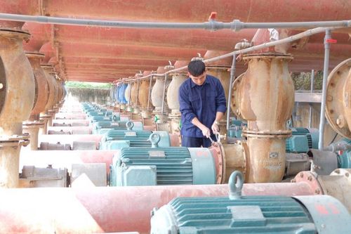 Vì sao 11 tỉnh thành có chênh lệch lớn về diện tích lấy nước vụ Xuân?