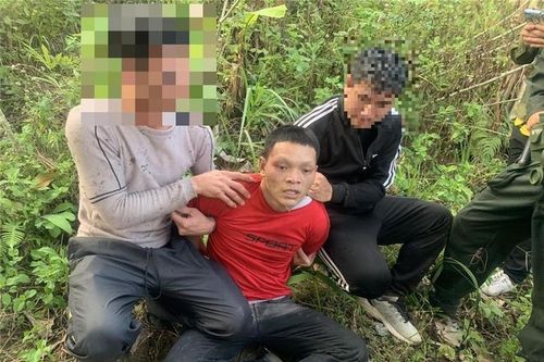 Lai Châu: Bắt kẻ giết người tại đồi cao su sau nhiều giờ gây án
