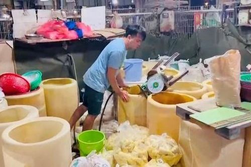 Phát hiện 3 cơ sở ngâm hóa chất tẩy trắng măng, ngó sen tại chợ Bình Điền