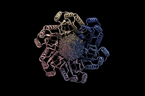 Phát hiện loại protein mới trị ung thư, Covid-19 nhờ AI