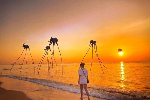 Giá tour cao chót vót, nhiều nhà bấm bụng cắt suất du lịch Tết
