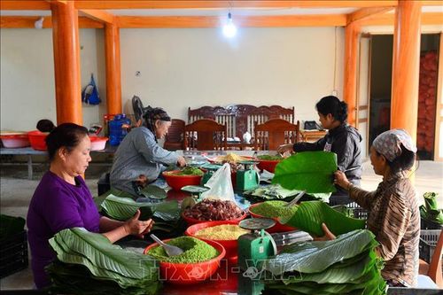 Độc đáo làng nghề bánh chưng gù Bản Tùy, Hà Giang