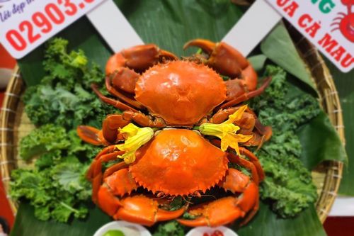 Chưa Tết, giá cua Cà Mau đã vượt mốc hơn 1 triệu đồng/kg