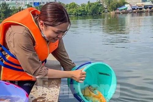 Đi ghe ra giữa sông thả cá phóng sinh