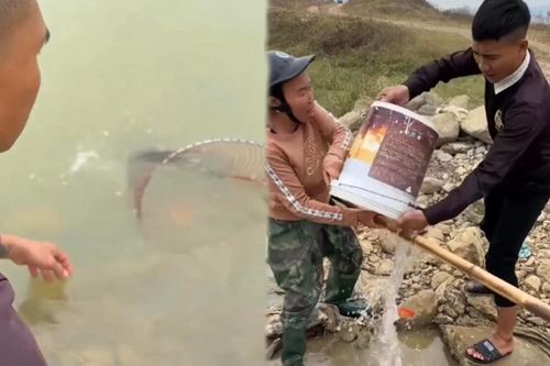 'Ông công ông táo' vừa thả xuống nước đã bị vớt, 2 thanh niên vội giải cứu nhưng lại bắt cá phải bay