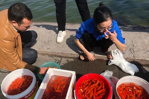 Ngăn thả cá cúng ông Công ông Táo xuống Hồ Tây, tránh gây ô nhiễm