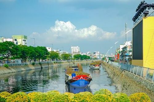 Chợ hoa 'trên bến dưới thuyền' rộn ràng sắc Xuân trước giờ khai mạc