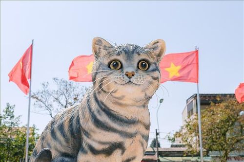 'Hoa hậu mèo' ở Quảng Trị, tượng linh vật đẹp nhất Tết này?