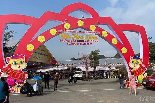 Chợ hoa xuân Hạ Long: Trăm người bán vạn người xem