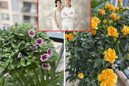 Rực rỡ sắc hoa đón Tết trong căn penthouse sang chảnh nhà vợ chồng MC Thành Trung