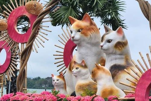 Chiêm ngưỡng hình tượng mèo và muôn màu sắc Xuân từ làng đến phố xứ Huế