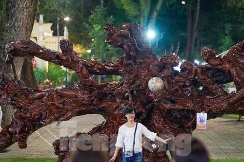 Ba khối 'Cửu Long Tranh Châu' làm từ rễ cây khô nguyên khối ở TPHCM