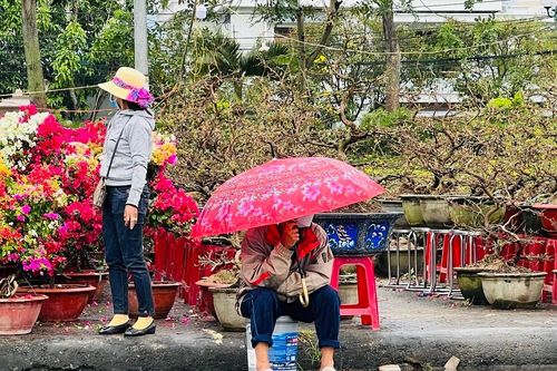 Chợ hoa lớn nhất Quảng Ngãi ế ẩm, tiểu thương co ro trong gió lạnh