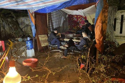 Người bán hoa Tết đủ thứ lo trong cái rét 13°C