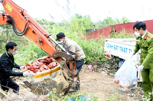 Tiêu hủy 300kg hàng hóa vi phạm về vệ sinh an toàn thực phẩm