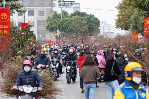 Hà Nội: Khách đổ xô đi mua đào, chợ hoa Lạc Long Quân chật kín chiều 27 Tết