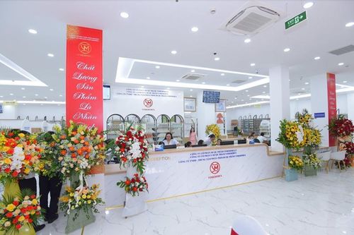 Vimedimex không liên quan đến sai phạm đấu giá đất tại Đông Anh