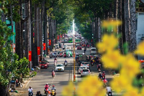 Sắc xuân ngập tràn đường phố TP.HCM trước ngày nghỉ Tết