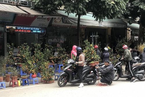 Người dân Thủ đô nhộn nhịp mua sắm đào, quất đón Tết Quý Mão 2023