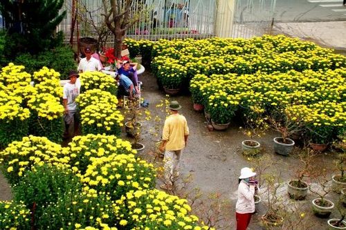 Đất trời trao tặng