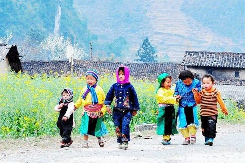 Xuân ở miền Cực Bắc