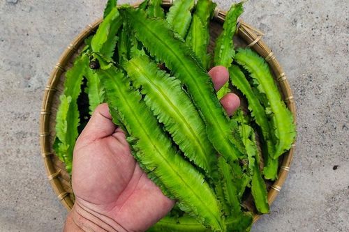 5 loại rau giàu canxi gấp 16 lần nước hầm xương, cao hơn cả sữa: Ăn vào mùa đông cực tốt cho cơ thể