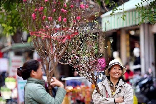 Dự báo thời tiết 3 miền trên cả nước ngày 20/1: Miền Bắc đón Tết trong tiết trời rét đậm