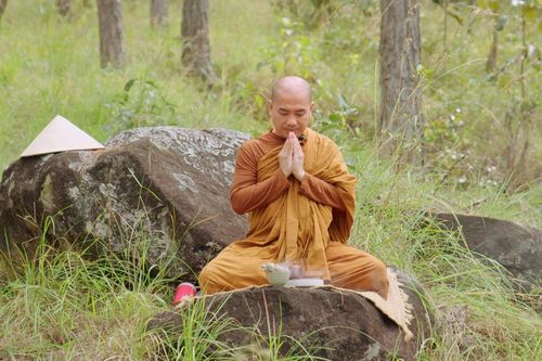 Thầy Thích Minh Niệm: 'Nhìn những mùa xuân đi'