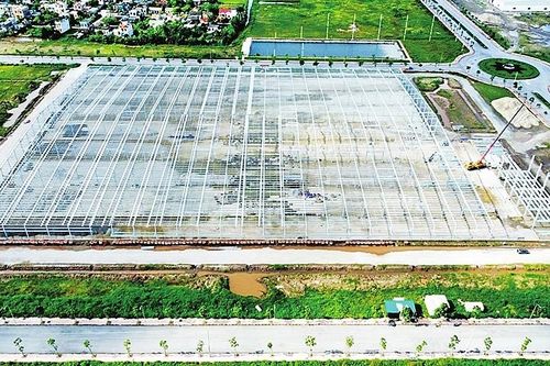Sản xuất tấm pin năng lượng mặt trời