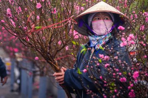 Thời tiết Tết Nguyên đán Quý Mão từ 29 tháng Chạp đến mùng 5 tết