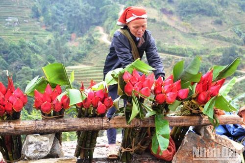 Rộn rã chợ phiên vùng cao ngày Tết