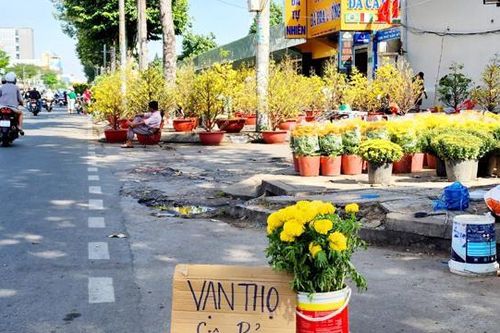 TP Hồ Chí Minh: Chợ hoa 30 Tết, tiểu thương giảm giá, xả hàng vớt vốn