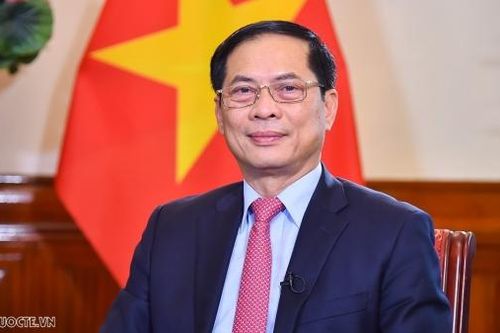 Bộ trưởng Bùi Thanh Sơn gửi thư chúc Tết Nguyên đán Quý Mão 2023 tới cán bộ, công chức, viên chức, người lao động ngành Ngoại giao